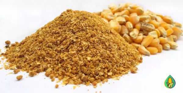 AGRO MILHOS DO BRASIL - PRODUTO FARELO DE MILHO